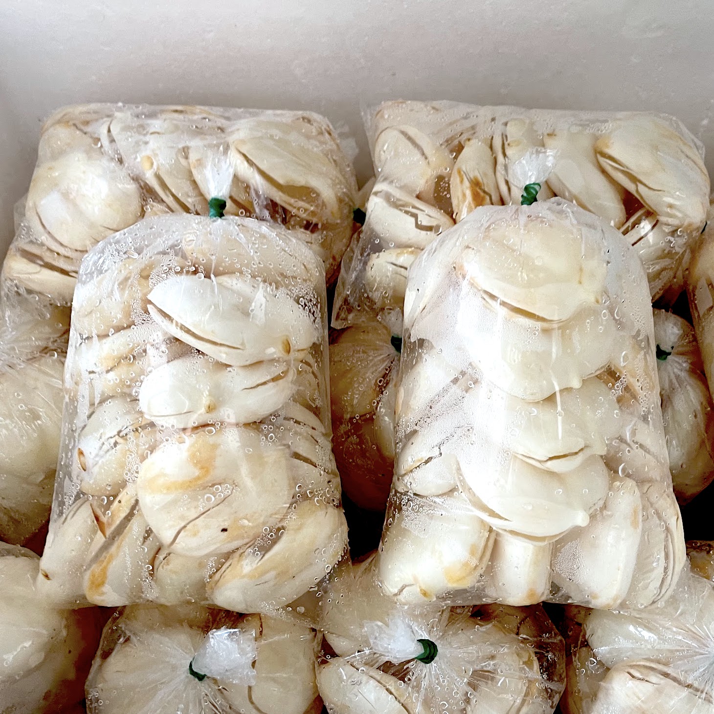 ลูกตาลสด โตนดเต้า ไร่เรา เพชรบุรี ลูกตาลสด โตนดเต้า ไร่เรา เพชรบุรี