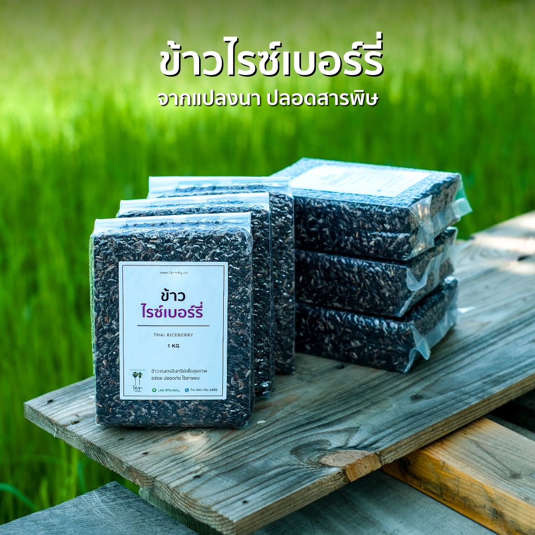ข้าวไรซ์เบอร์รี่ Rice Berry ปลอดสารพิษ ข้าว ข้าวไรซ์เบอร์รี่ Rice Berry ปลอดสารพิษ ข้าว