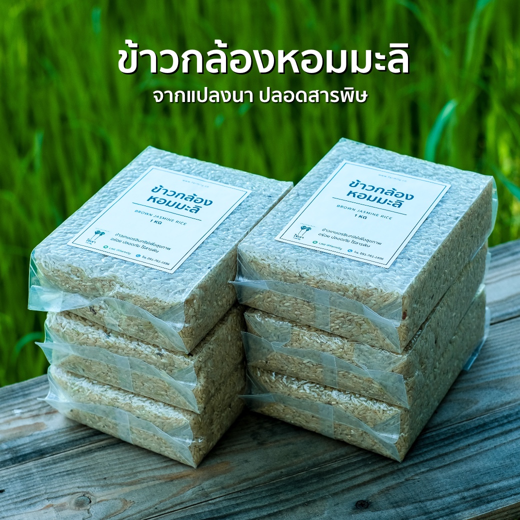 ข้าวกล้องหอมมะลิ ปลอดสารพิษ ข้าว ข้าวกล้องหอมมะลิ ปลอดสารพิษ ข้าว